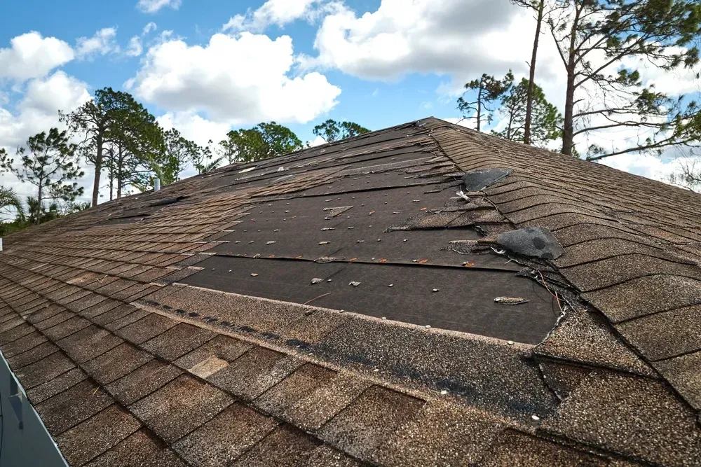 Asphalt shingle roof with missing shingles and exposed roofing material